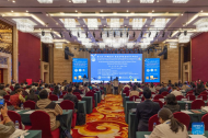 Across China: Tibetan medical thangkas draw global spotlight at symposium in Xizang