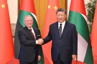 Xi puts forward four principles on Palestinian question