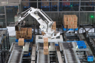 China Focus: Digital tech, smart gear reshape farming in China's NE granary