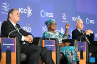 WTO warns weakened trade rules could leave global GDP up to 10 pct lower