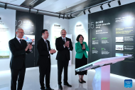 Chinese-invested large-scale solar power plant in Azerbaijan connected to grid