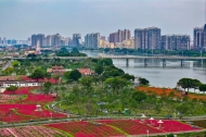 China's property market sees major changes in supply and demand: official