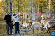Autumn scenery of Arxan National Forest Park in China's Inner Mongolia