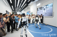 Exploring the Capital's Cutting-Edge Technologies: Chamdo Grassroots Officials from Xizang Visit Beijing for a Study Tour