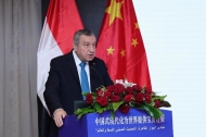 China's Global Development Initiative gives Global South stronger voice, opportunities: former Egyptian PM