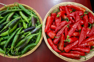 Chili peppers enrich Xizang river valley