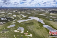 China reports progress in first five national parks, with wildlife numbers rising