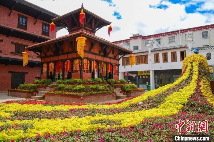西藏首屆花卉藝術旅游文化開幕數萬鮮花綻放雪域高原