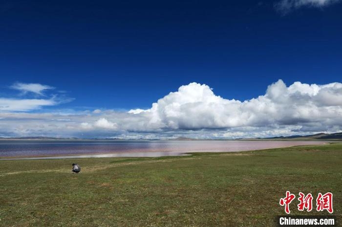 科考隊員在茲格塘錯湖岸采樣。　<a target='_blank' href='http://www.chinanews.com/'></p><p  align=
