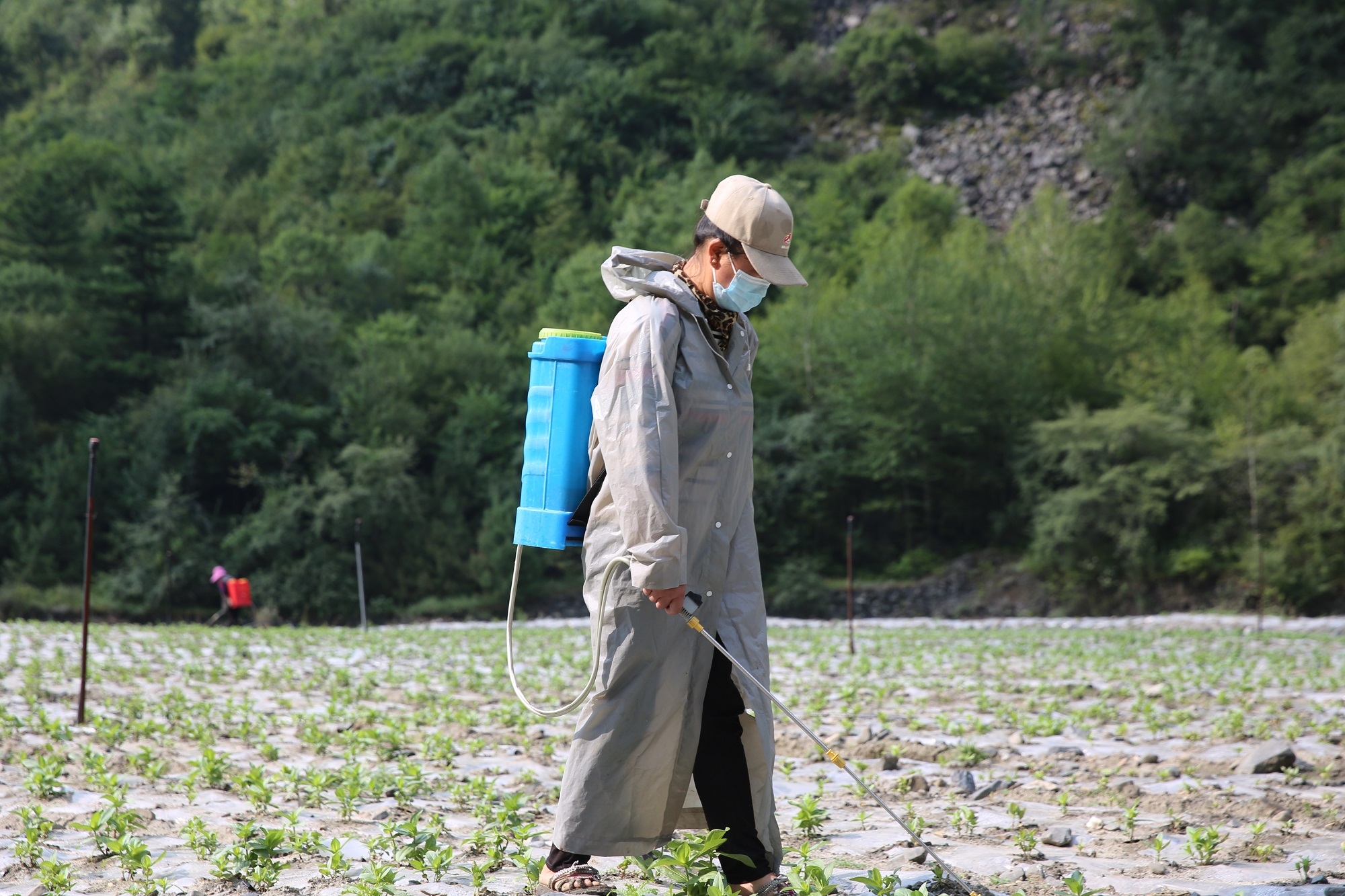 理縣樸頭鎮莊房村打造產業振興新樣板4.jpg