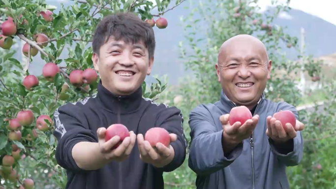 Under the Apple Tree