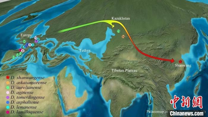 约2000万年前并角犀沿青藏高原北缘迁徙示意图。　中科院古脊椎所 供图