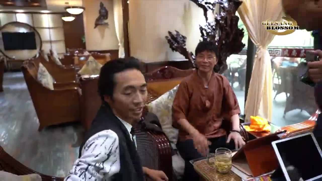 The Stray Singer Who Returns