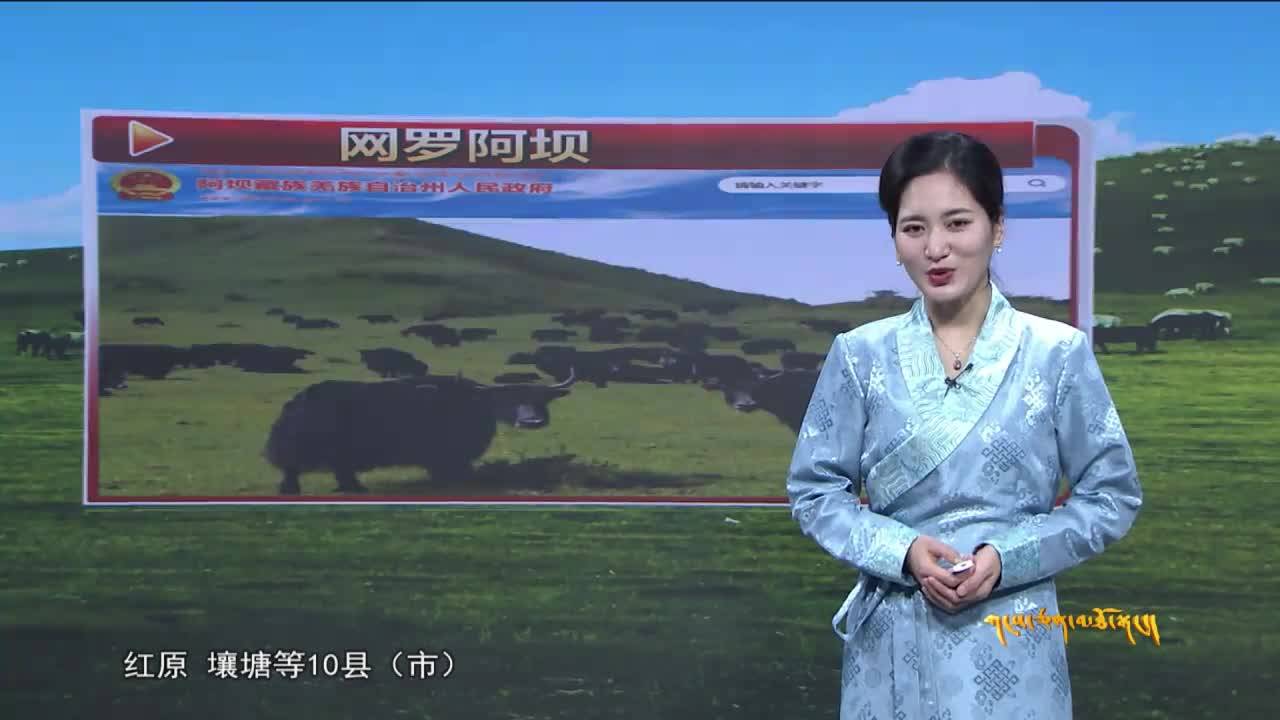雪域高原（21.12.05）