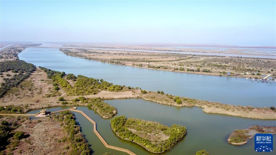 (新华全媒头条·图文互动)(4)鲲鹏展翅九万里——以习近平同志为核心的党中央引领中华民族迈向伟大复兴述评
