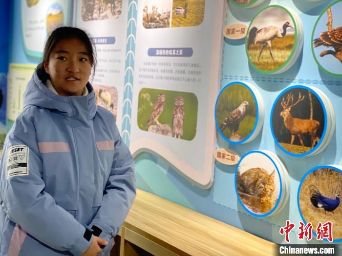 图为多杰吉在祁连山国家公园生态学校自然教室为参观者进行讲解。 李江宁 摄 图为多杰吉在祁连山国家公园生态学校自然教室为参观者进行讲解。 李江宁 摄