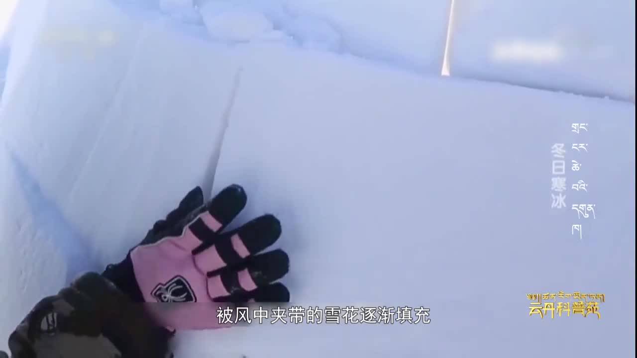 云丹科普苑（22.01.26）