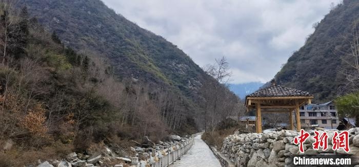 與“國寶”為鄰：四川“熊貓村”的綠色新春