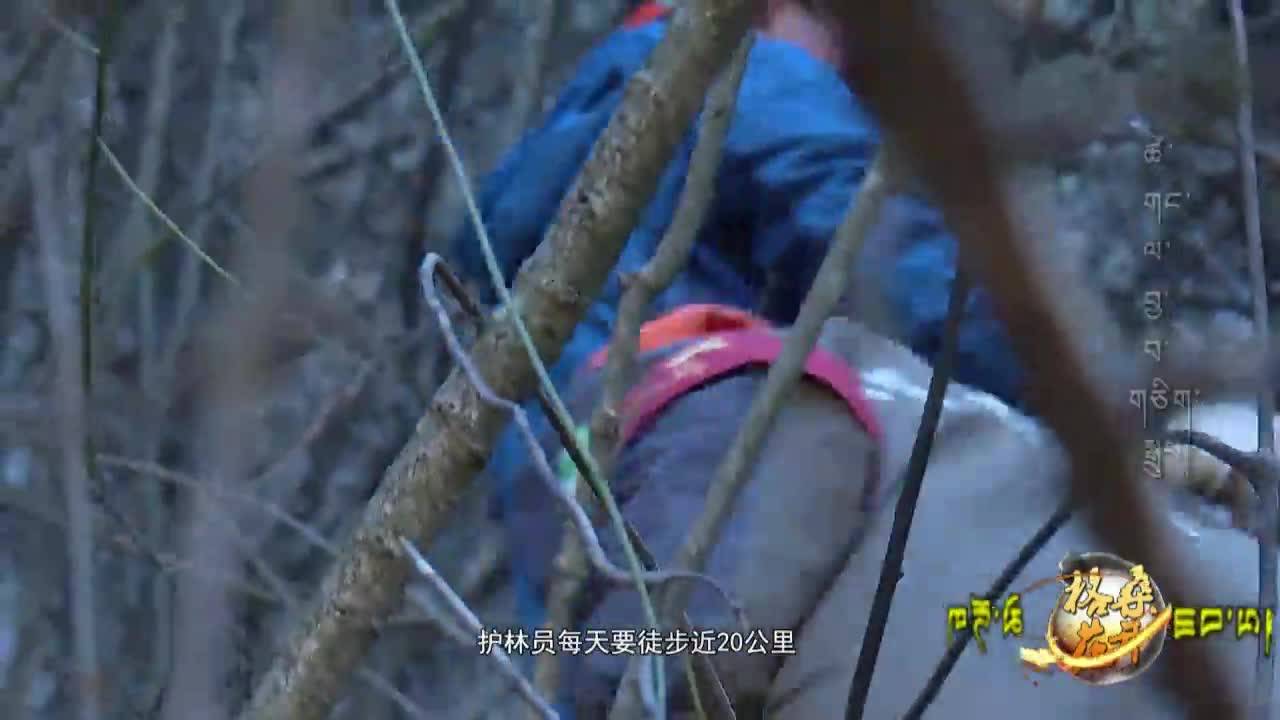 一生擇一事（22.02.05）