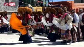 独具特色的藏族传统舞蹈——“甲谐”