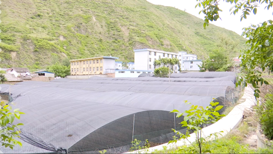 總有一種力量引領我們前行——康巴衛視《紅星閃耀高原》大型全媒體新聞行動圓滿結束