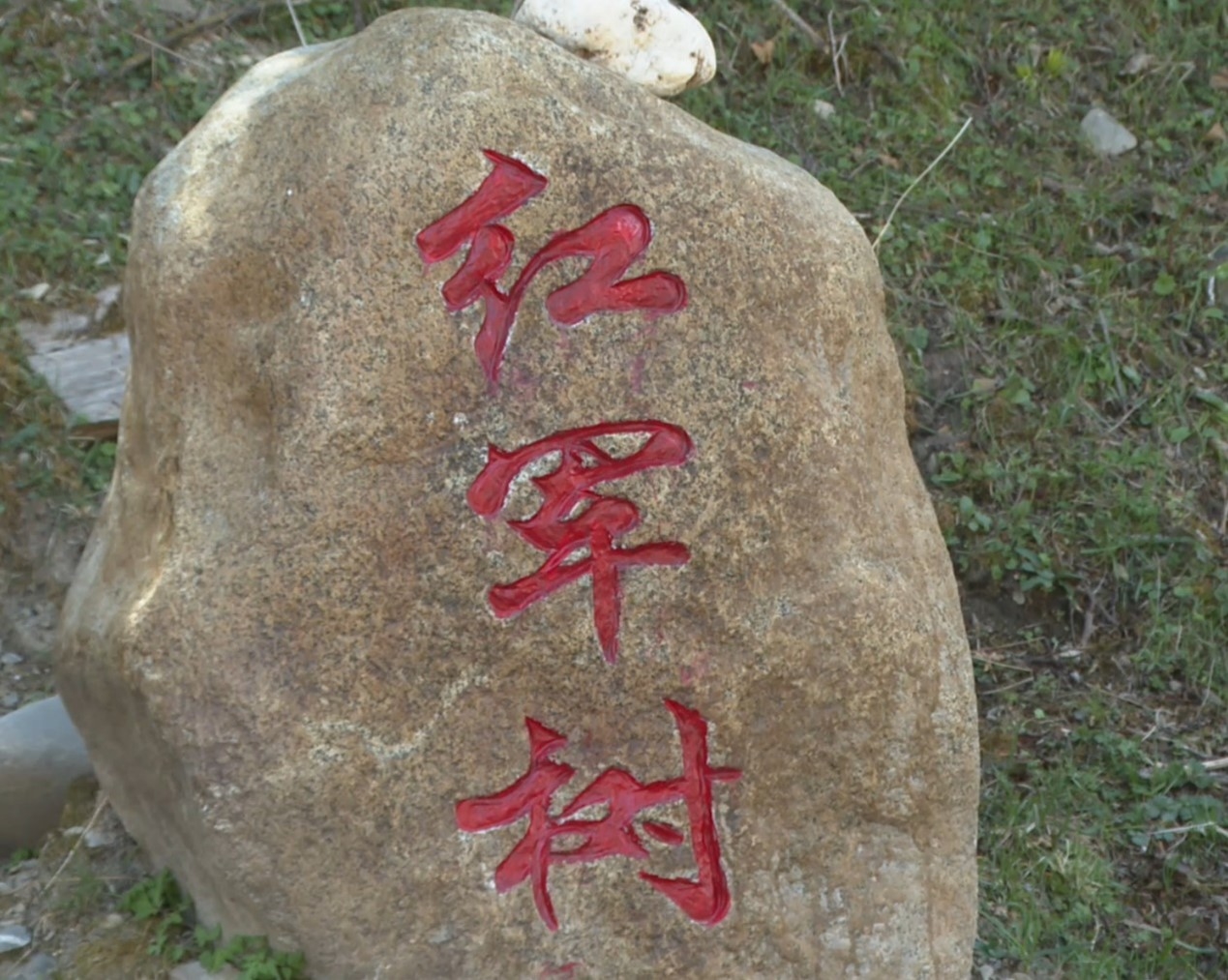 「紅星閃耀高原」薪火相傳 讓長征精神煥發時代光芒