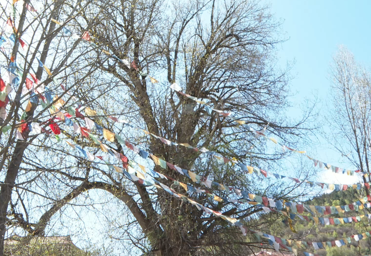 「紅星閃耀高原」薪火相傳 讓長征精神煥發時代光芒