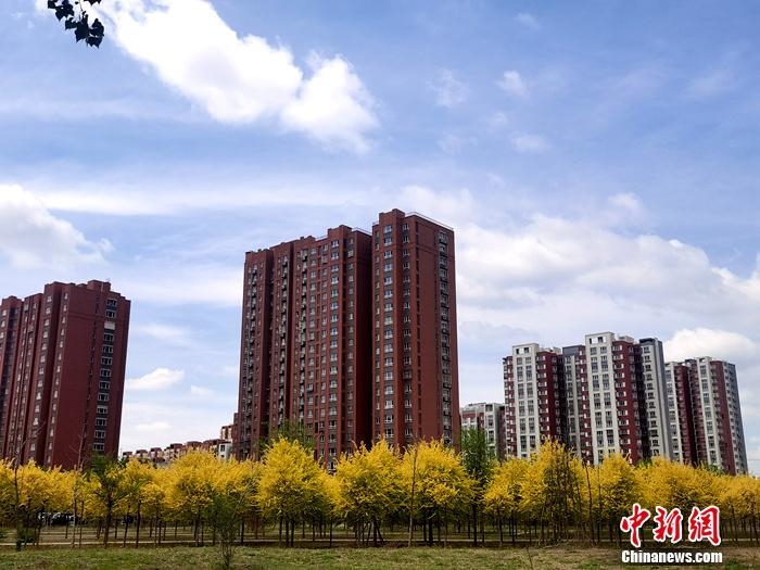资料图。<a target='_blank' href='/' >中新网</a>记者 李金磊 摄 资料图。<a target='_blank' href='/' >中新网</a>记者 李金磊 摄