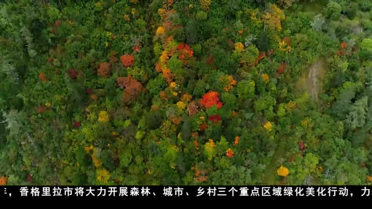 康巴衛視新聞（22.04.10）