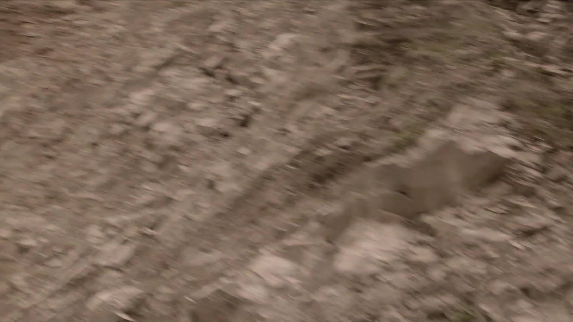 Proceeding with Dreams—— Dungkal Drutha