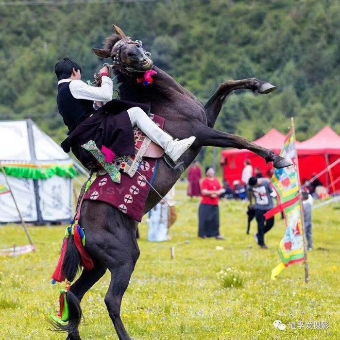 玉科賽馬場.jpg