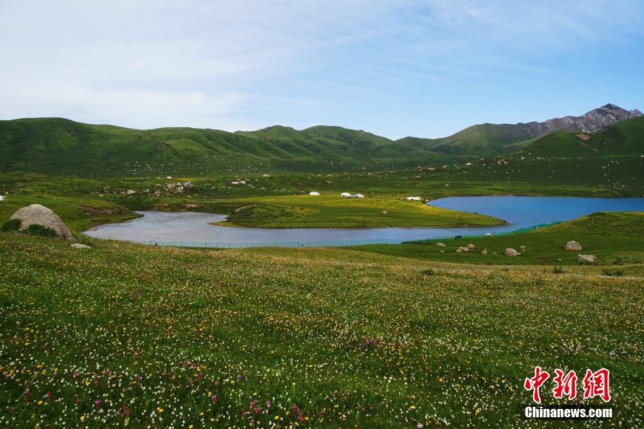 “天神后花園”青海年寶玉則盛夏美景如畫