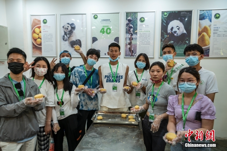兩岸學子四川臥龍研學：擔任營養師 為大熊貓“下廚”