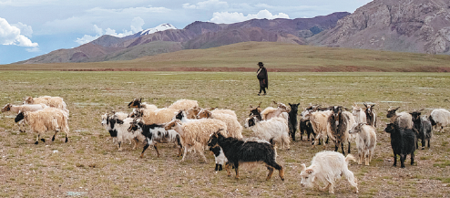 The road to a new life