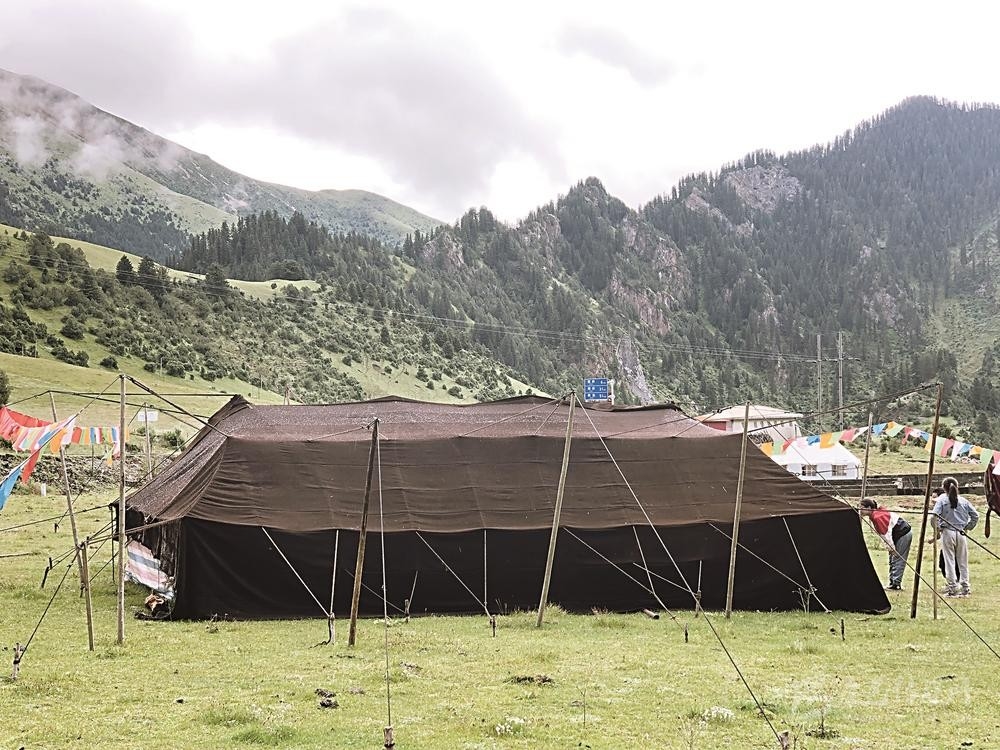 འབྲོག་ལས་དམངས་སྲོལ།