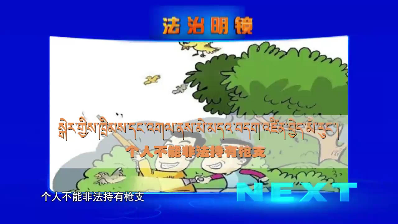 個人不能非法持有槍支（22.06.23）