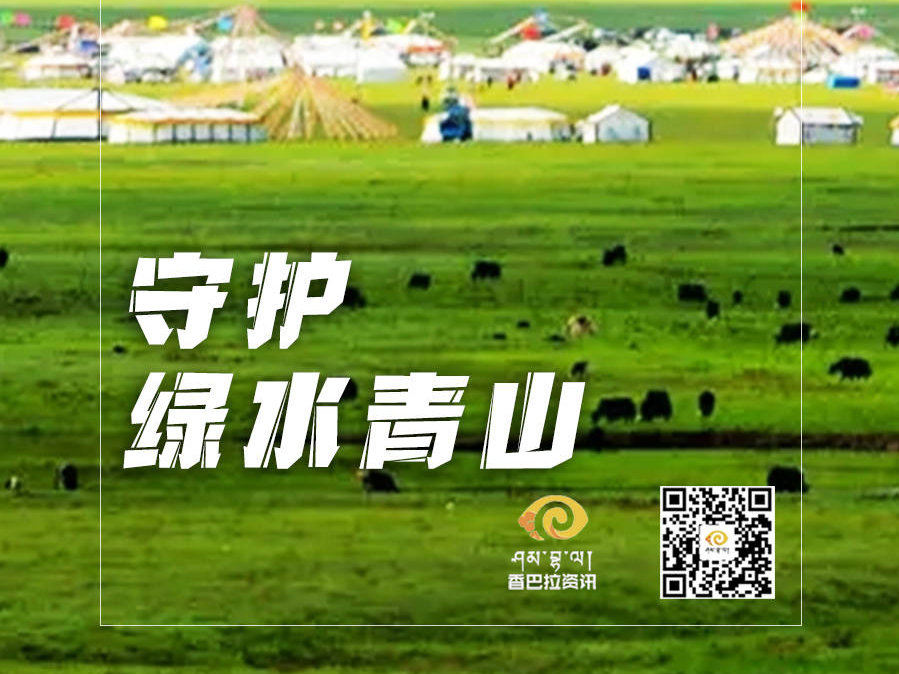 【鸟瞰高原·玉树称多篇】守护绿水青山
