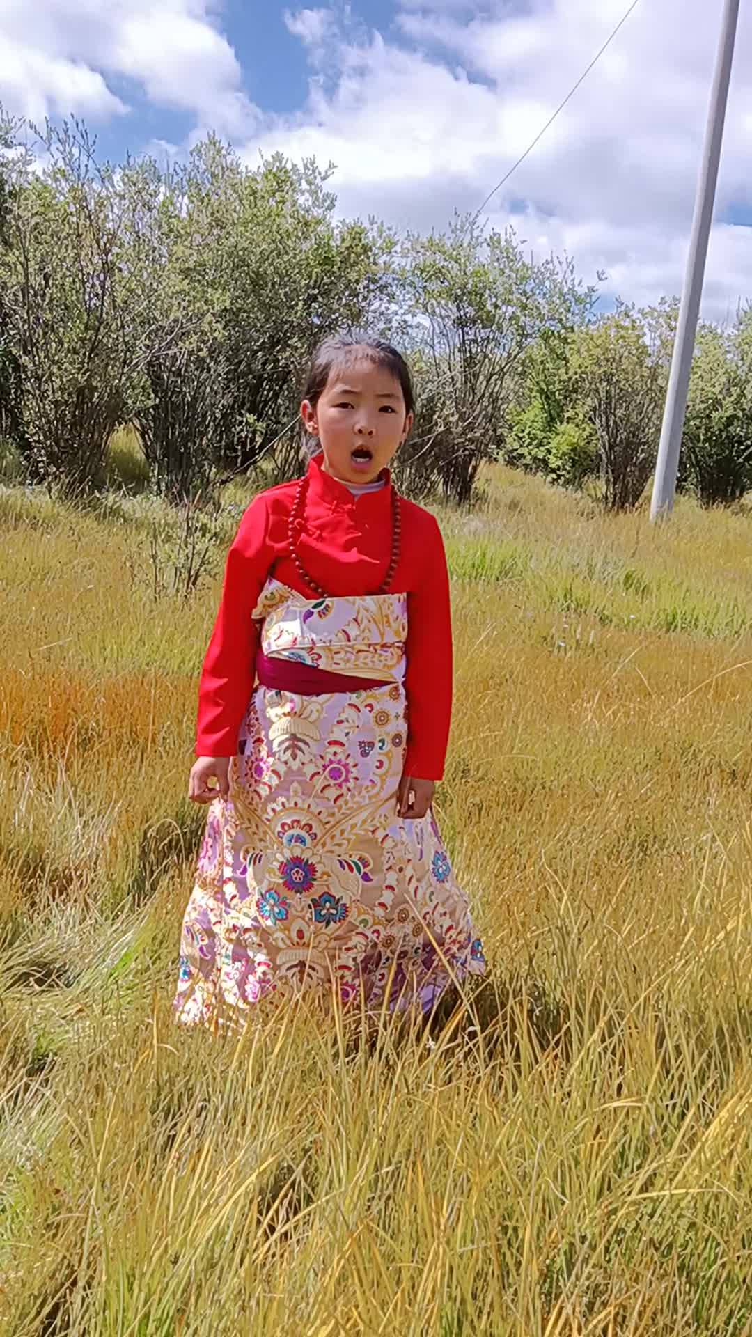 樹之歌
朗誦： 瑛杰
阿壩州若爾蓋縣達扎寺小學
