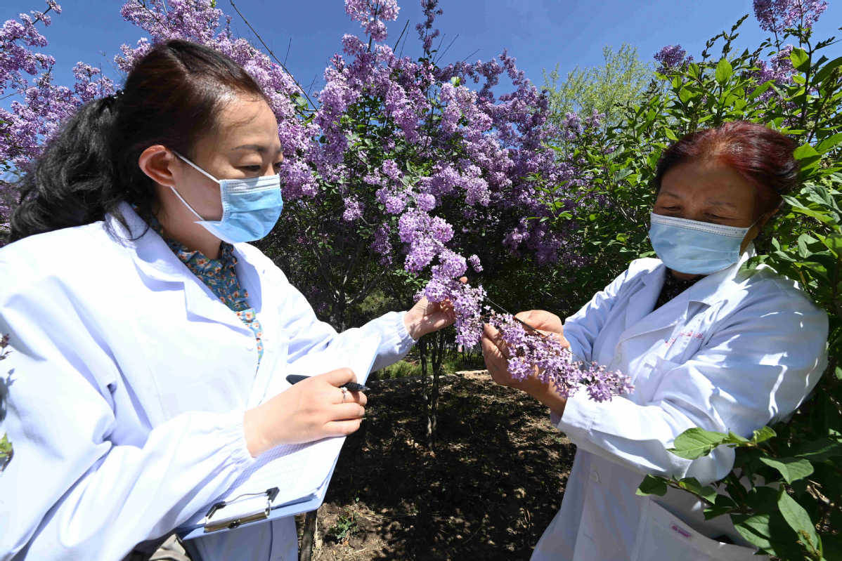Forestry expert brings new life to previously barren land