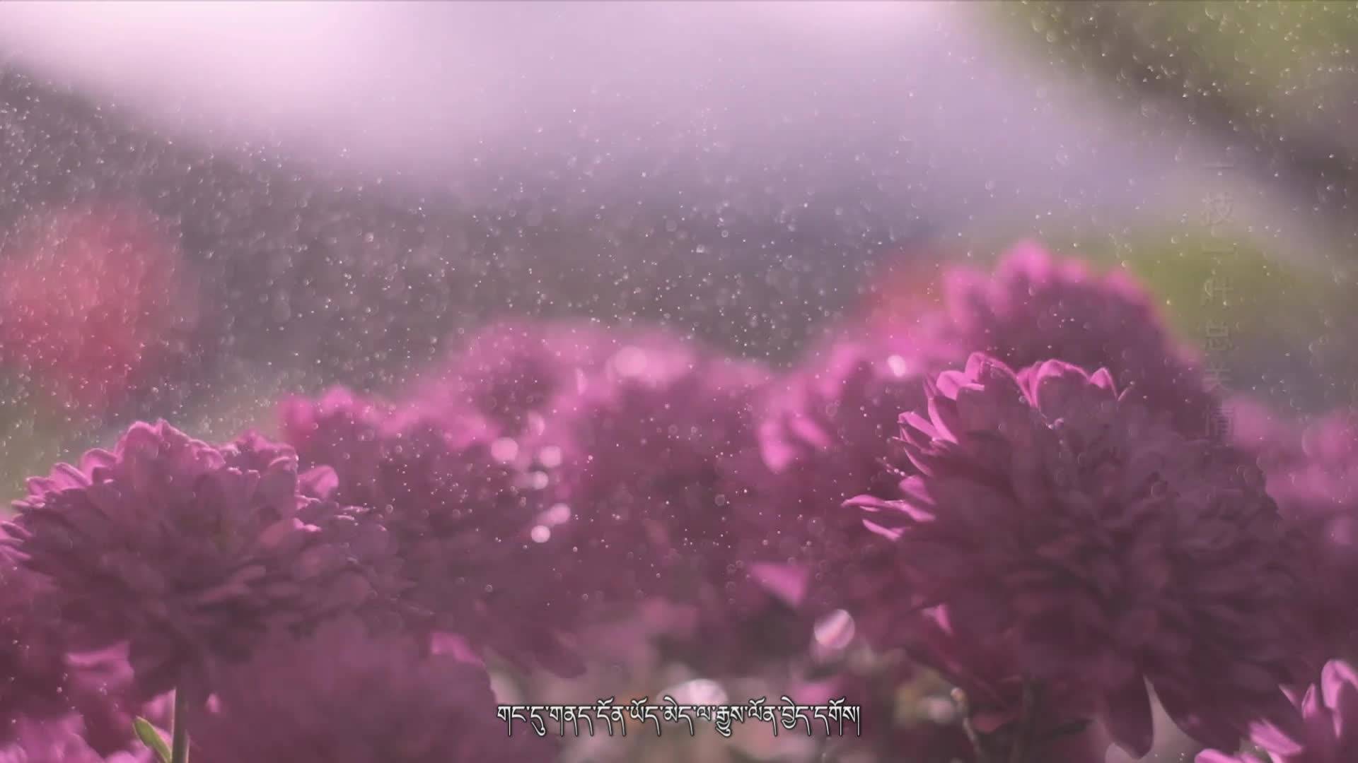 一枝一叶总关情（22.10.01）