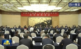 央视联播丨栗战书参加党的二十大四川代表团讨论