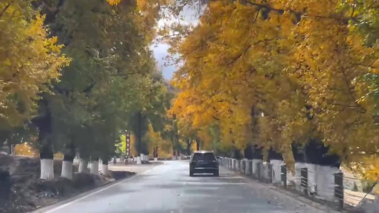 川西不只是高原雪山，还有美丽的秋天。