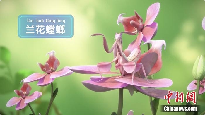 裸眼3D效果圖。供圖
