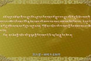 秘境囊謙之皮船 牛角胡 石刻（22.03.08）