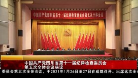 中国共产党四川省第十一届纪律检查委员会第五次全体会议决议