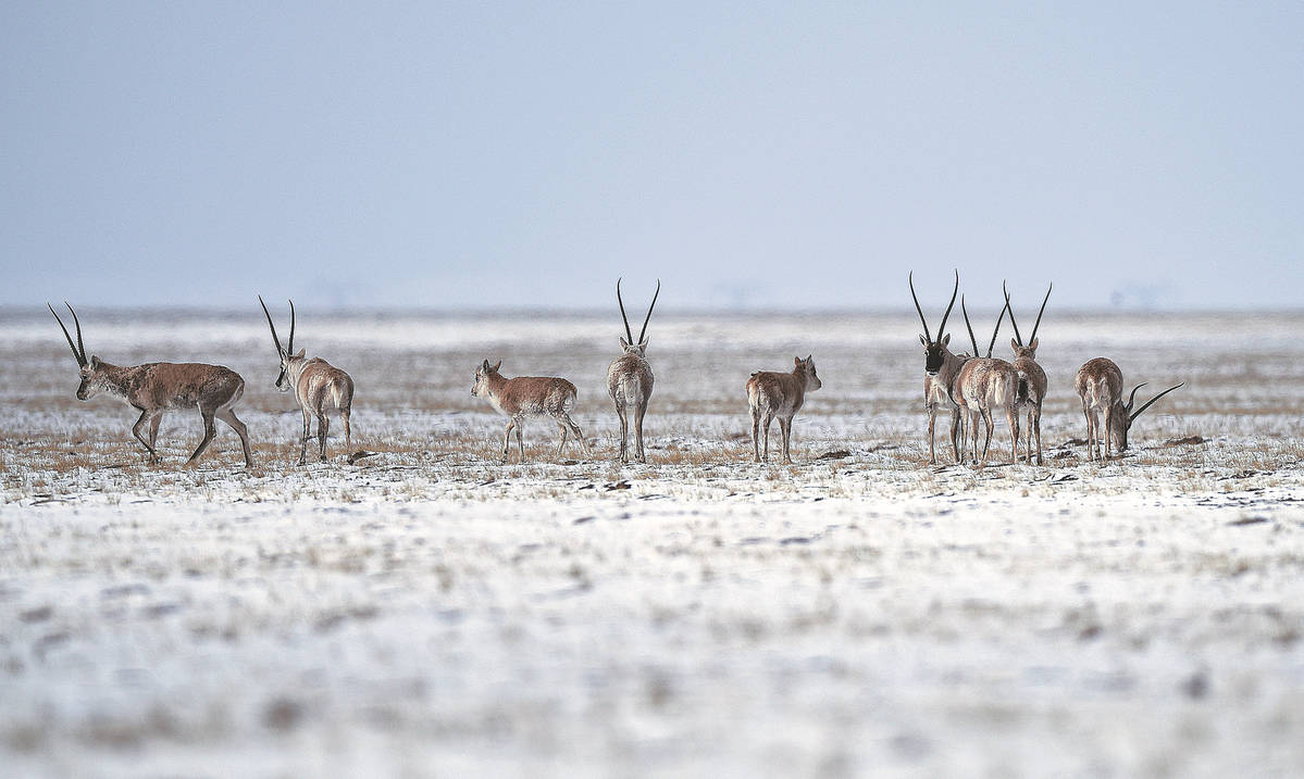 Three rivers' source area whets appetite for conservation