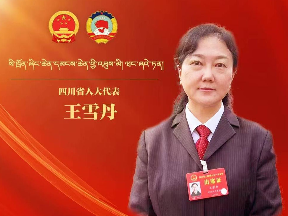 【两会海报】四川省人大代表王雪丹：中华优秀传统文化进校园 促进学生身心全面发展
