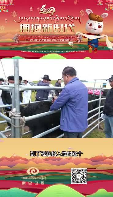 高原上的“牛博士”  守護牧民的生活與希望