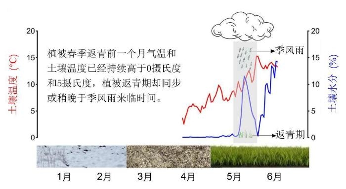 研究成果示意圖。　中科院青藏高原所 供圖