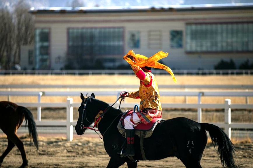 藏歷新年，精彩的馬術(shù)表演。張靜攝